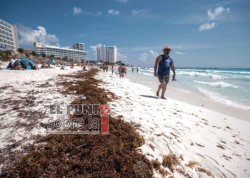La Marina prepara infraestructura para atender llegada de sargazo a Quintana Roo