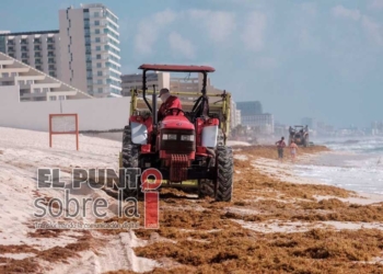 Experto sugiere redireccionar el sargazo hacia mar adentro que contenerlo
