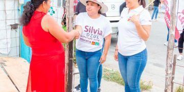 Desde el Congreso defenderemos de la Lengua Materna y los derechos de las Mujeres: Silvia Dzul