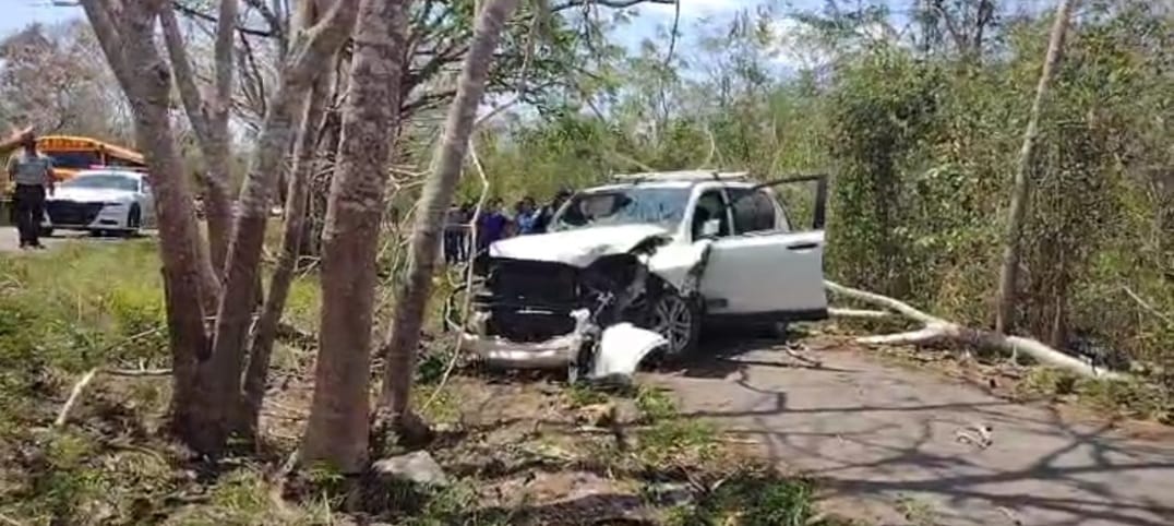¡Sopas!, se sale de la carretera y se estampa contra varios árboles