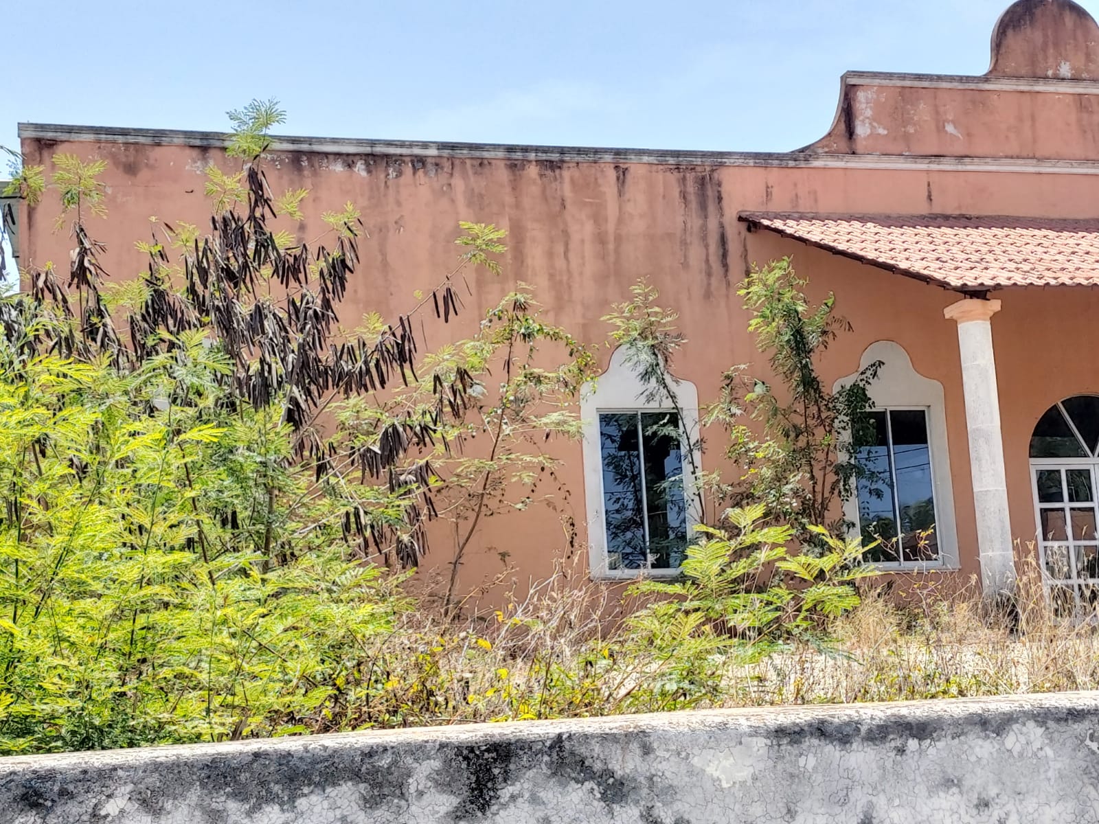 Centro Yucaton Valladolid entre la maleza y el olvido