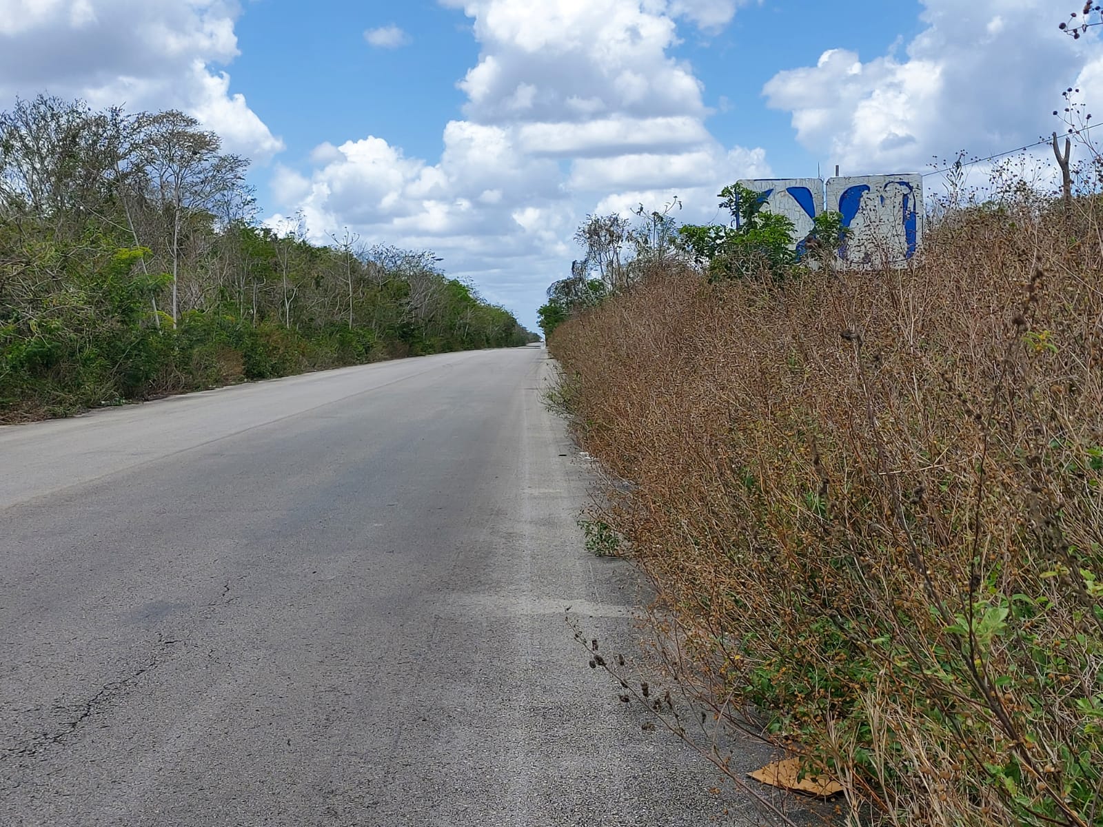 Carretera Chemax – Tulum deja mucho que desear