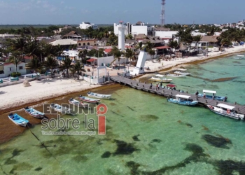 Este año habría mayor arribo de sargazo que en 2018