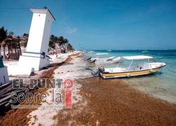 El arribo masivo de sargazo impacta a los cenotes de Puerto Morelos