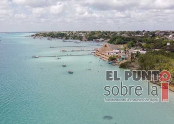 Autoridad estatal de Ecología, obligada a publicar proyectos a Evaluación de Impacto Ambiental