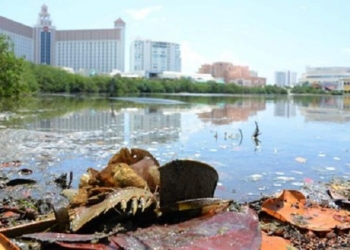 Contaminación acaba con Quintana Roo
