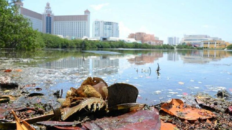 Contaminación acaba con Quintana Roo