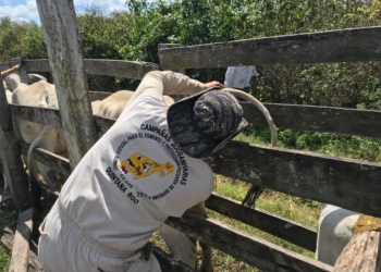 Paro laboral en el Comité de Protección Pecuaria de Quintana Roo