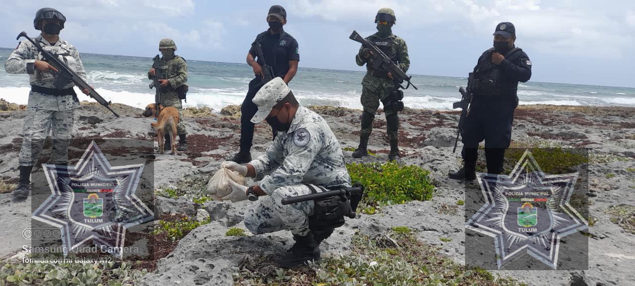 Localizan hachis en playas de Akumal