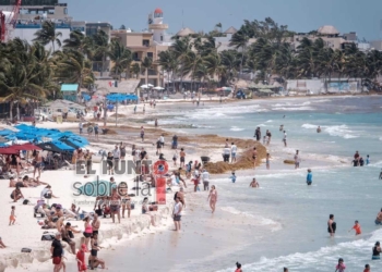 Organizados en Puerto Morelos para retirar de las playas el sargazo