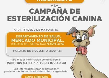 Próxima Campaña de Esterilización Canina en Valladolid