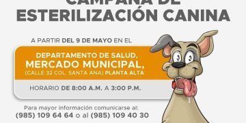 Próxima Campaña de Esterilización Canina en Valladolid