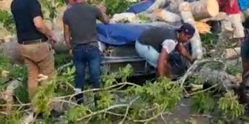 Fallece al caer un árbol encima del vehículo en el que viajaba en la Mérida-Cancún