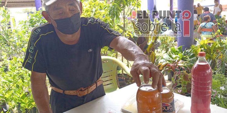Hombre de la 3a edad emprende con medicina tradicional para mejorar su economía