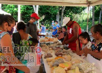 Milperos de Yucatán y Q.Roo participan en Encuentro de Semillas en Peto