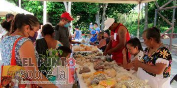 Milperos de Yucatán y Q.Roo participan en Encuentro de Semillas en Peto
