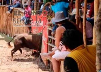 Toro de lidia se escapa y deambula por calles de Chumayel