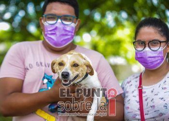 Ayuntamiento de Solidaridad ha dado en adopción a más de 50 perros en 2022