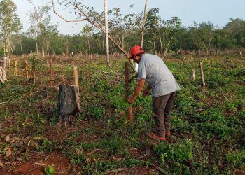 Familias temen ser despojadas de sus tierras por presunto funcionario de la Sedatu