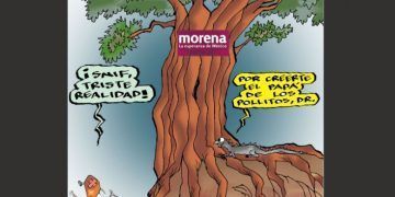 COLINAS: ¨Coco¨ duro el Dr.