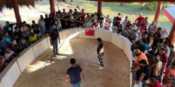 Solicitan galleros que no maten la tradición de peleas de gallos