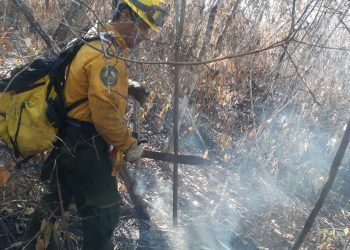 A falta de recursos, incendios superan hectáreas afectadas del 2021
