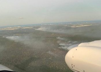 La biodiversidad de Quintana Roo en peligro por siete incendios activos