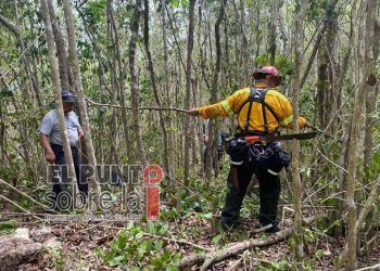 Las lluvias, insuficientes para apagar incendios forestales en Solidaridad