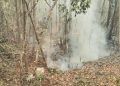 Las lluvias, insuficientes para apagar incendios forestales en Solidaridad