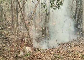 Las lluvias, insuficientes para apagar incendios forestales en Solidaridad