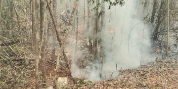 Las lluvias, insuficientes para apagar incendios forestales en Solidaridad
