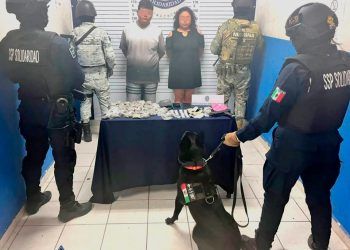 Elemento canino alerta para detener en Playa del Carmen a pareja con varios tipos de droga
