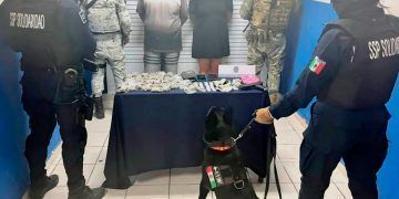 Elemento canino alerta para detener en Playa del Carmen a pareja con varios tipos de droga