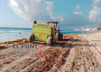 Ayuntamiento retira cerca de tres mil toneladas de sargazo en playas de Cancún durante 2022