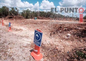 Ayuntamiento de Solidaridad ha dado en adopción a más de 50 perros en 2022