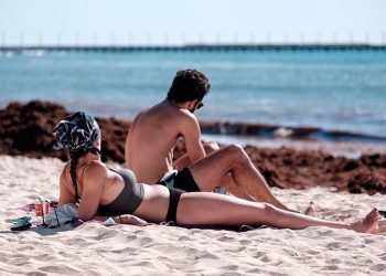 Proponen cambiar de estrategia para enfrentar el sargazo: sería desviado en alta mar