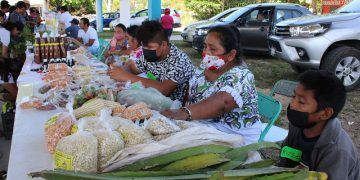 Chikindzonot, celebrará a la Cruz con la feria de las semillas mayas