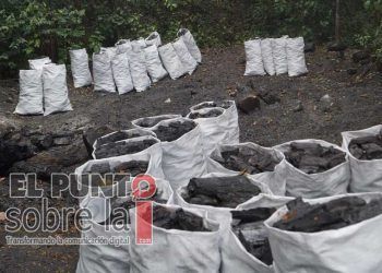 Aumentan ventas de carbón en Lázaro Cárdenas tras fase más intensa de la pandemia