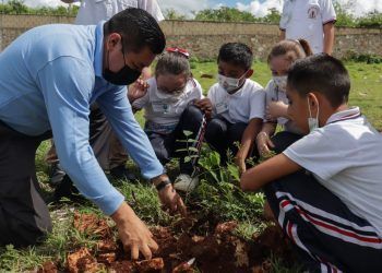 Entusiasta jornada de reforestación en el Hispano Mexicano del Sureste