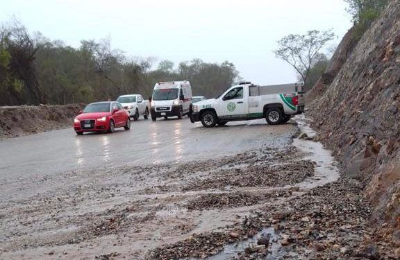 Ángeles Verdes apoyan en estados afectados por «Agatha» y «Alex»