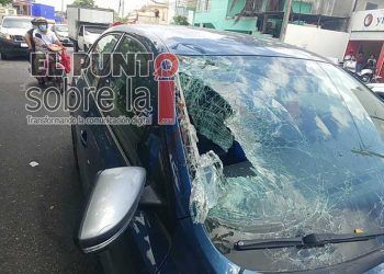 Caballo que deambulaba sin jinete ocasiona daños a dos vehículos en Cancún
