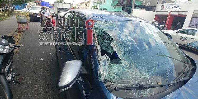 Caballo que deambulaba sin jinete ocasiona daños a dos vehículos en Cancún