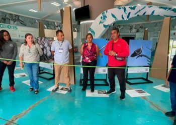 Ciudad Mayakobá busca generar sentido de pertenencia entre visitantes del municipio de Solidaridad