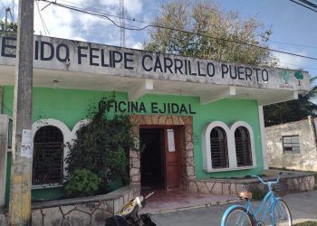 Comisariado de Carrillo Puerto busca personal especializado para mantener contratos de venta de madera