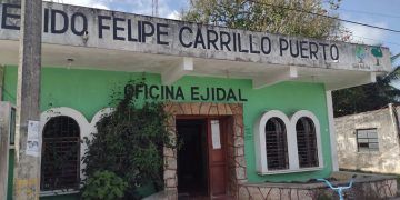 Comisariado de Carrillo Puerto busca personal especializado para mantener contratos de venta de madera