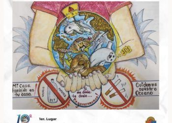 Delphinus premia el concurso de dibujo alusivo a la protección del mar