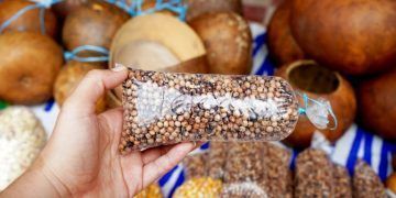 Milperos del sur de Yucatán, expresan su sentir ante los graves problemas del territorio donde viven