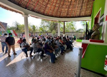 Tramo 5 Sur del Tren Maya, viable ambientalmente; Fonatur