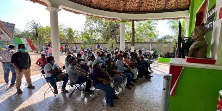 Tramo 5 Sur del Tren Maya, viable ambientalmente; Fonatur