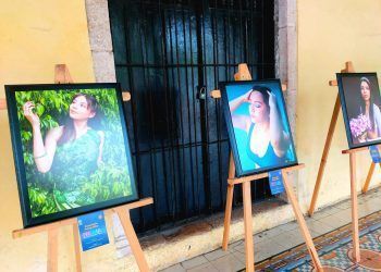 Transmiten sensaciones y percepciones de los colores a través de fotografías